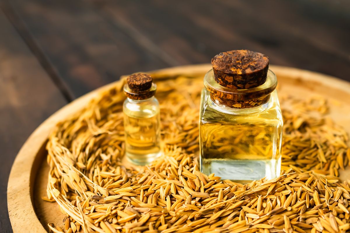 Olio di riso l’alleato segreto per idratare senza irritare