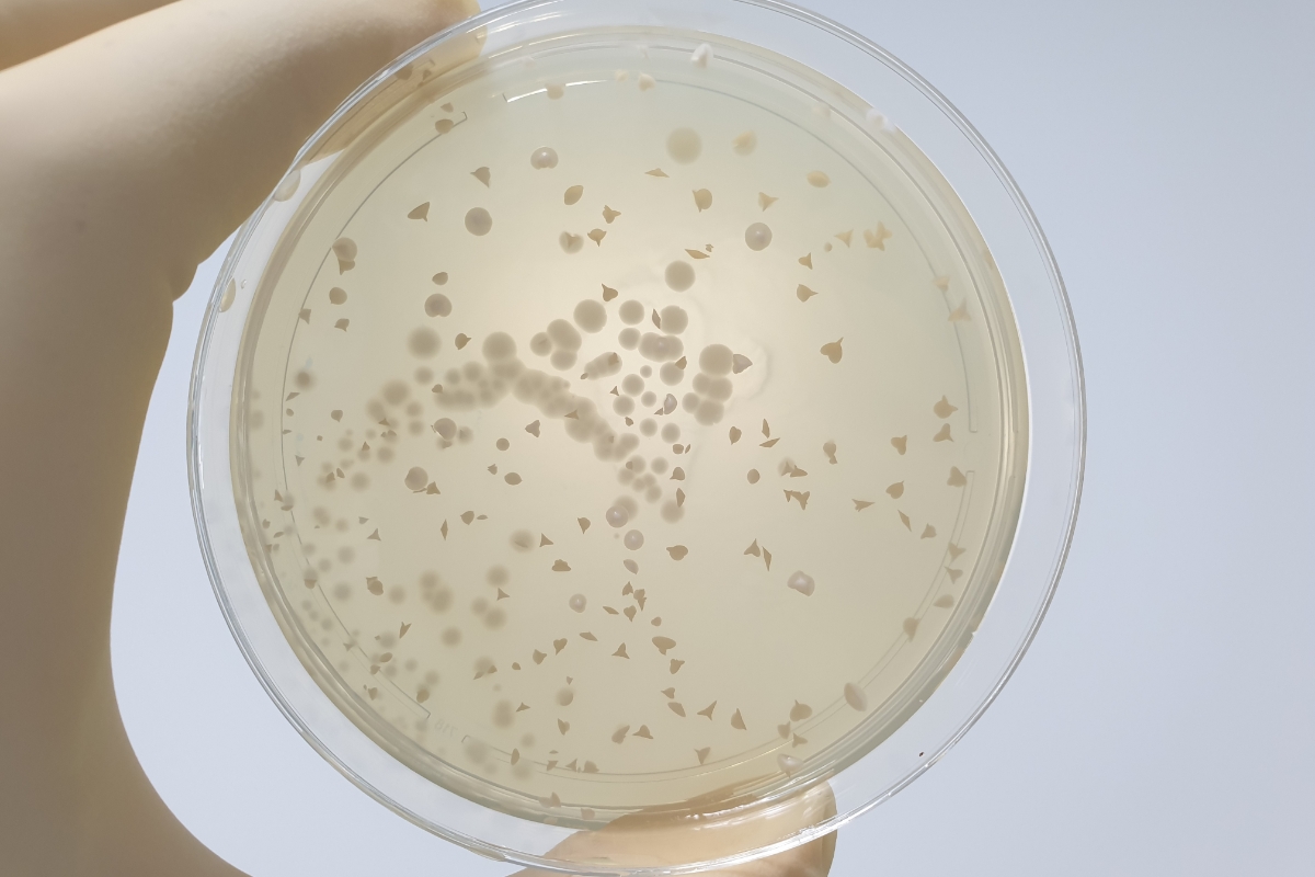 Tonico riequilibrante con il Saccaromyces