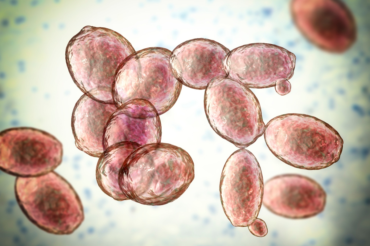 Tonico con Saccharomyces