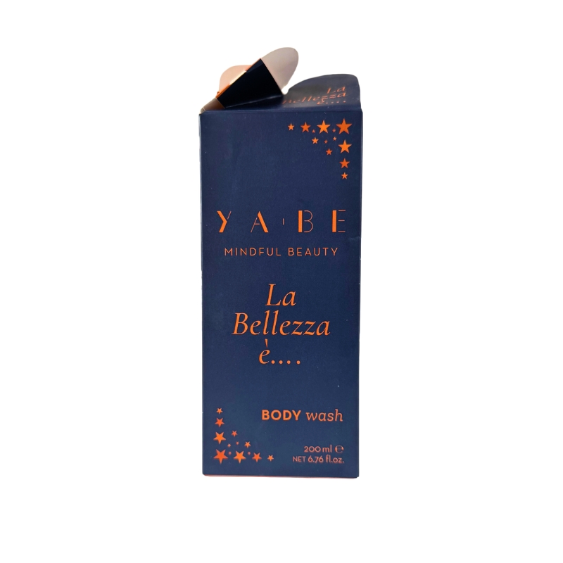 Gift Box XMas