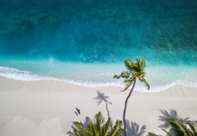 nattu adnan atSUvc1hMwk unsplash