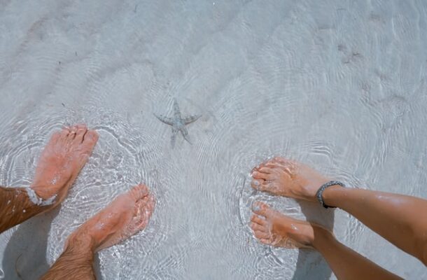 piedi